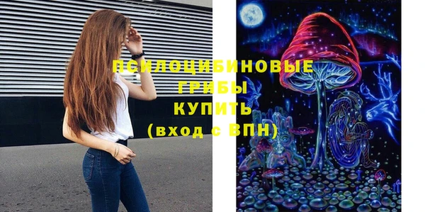 2c-b Богородск