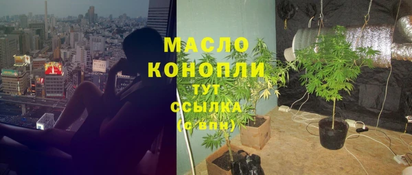 первитин Богданович