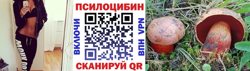 Псилоцибиновые грибы мухоморы  Мещовск 